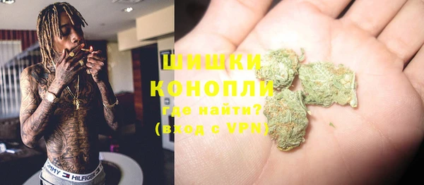 сатива Богданович