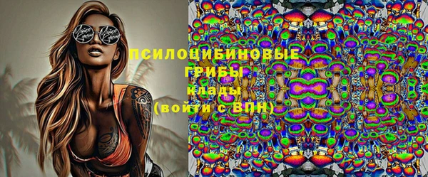 прущие крисы Верея